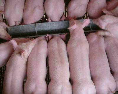 91短视频污APP下载名称