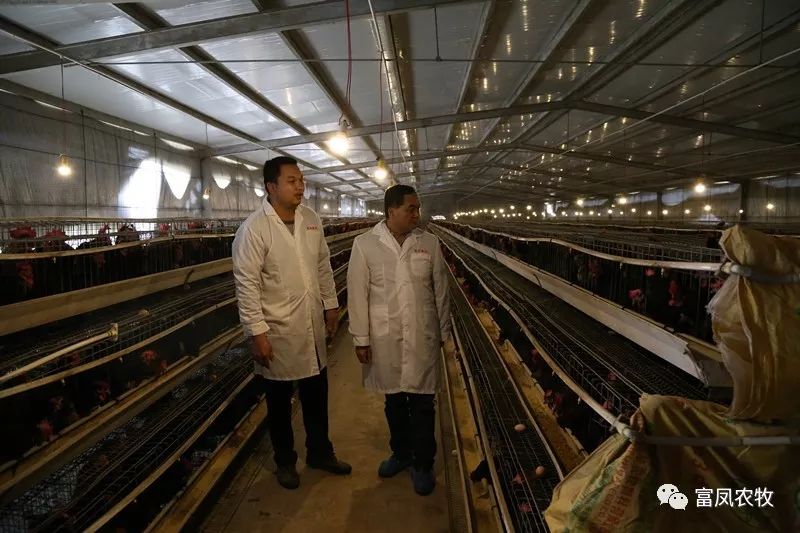 广西91短视频在线观看农牧集团